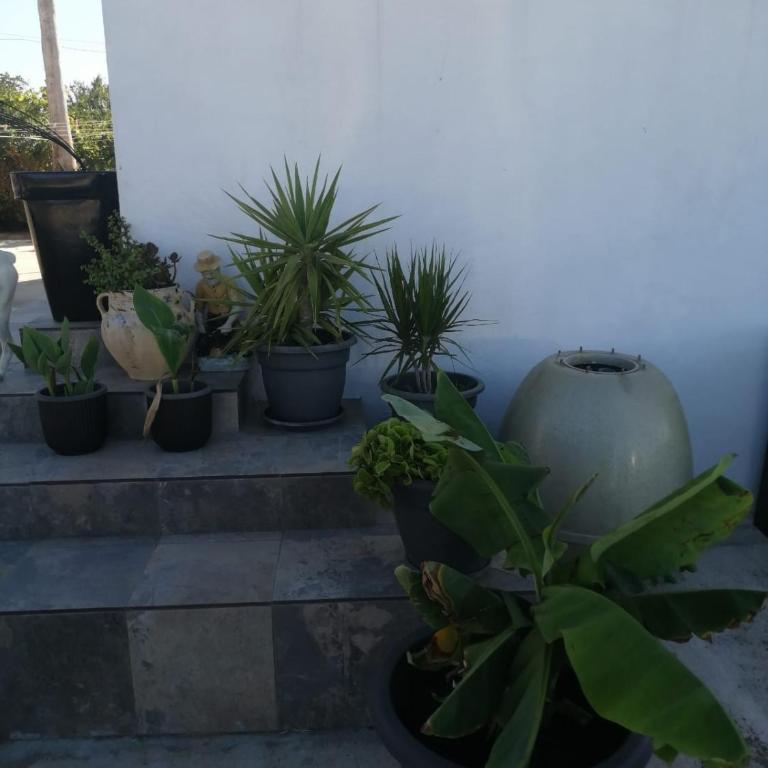 Finca Laxuan - Bungalow - 6