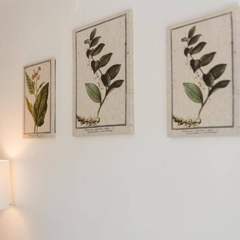 Vacation home in the best location, with terrace and pool in Marbella Center - Apartamento de 2 dormitorios - 10