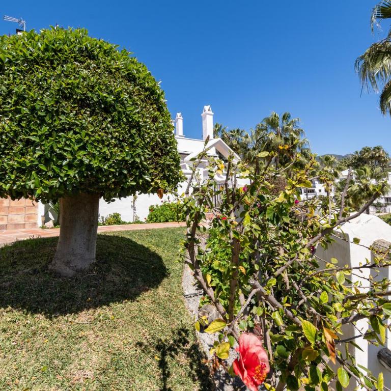 Las Palmas 2a Oasis Properties - Casa con 1 dormitorio - 21
