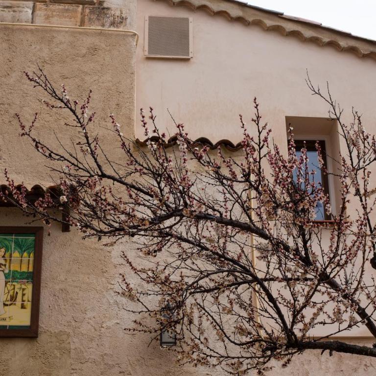 Huerto de Mateo Arana - Casa de 6 dormitorios - 47