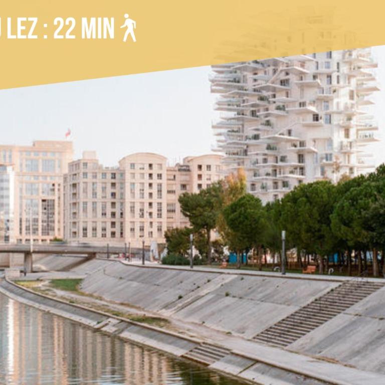 Appartement LAISSAC - CENTRE VILLE - WIFI - One-Bedroom Apartment - 41