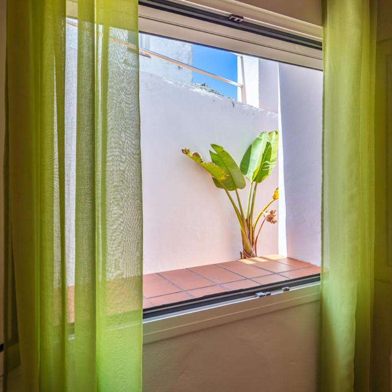Cortijo Pájaro Punta de la Laja - Apartamento de 2 dormitorios - 18