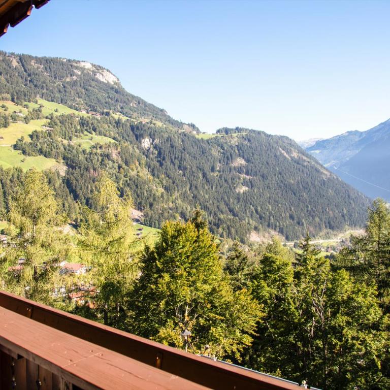 die Aussicht - Talblick - 4