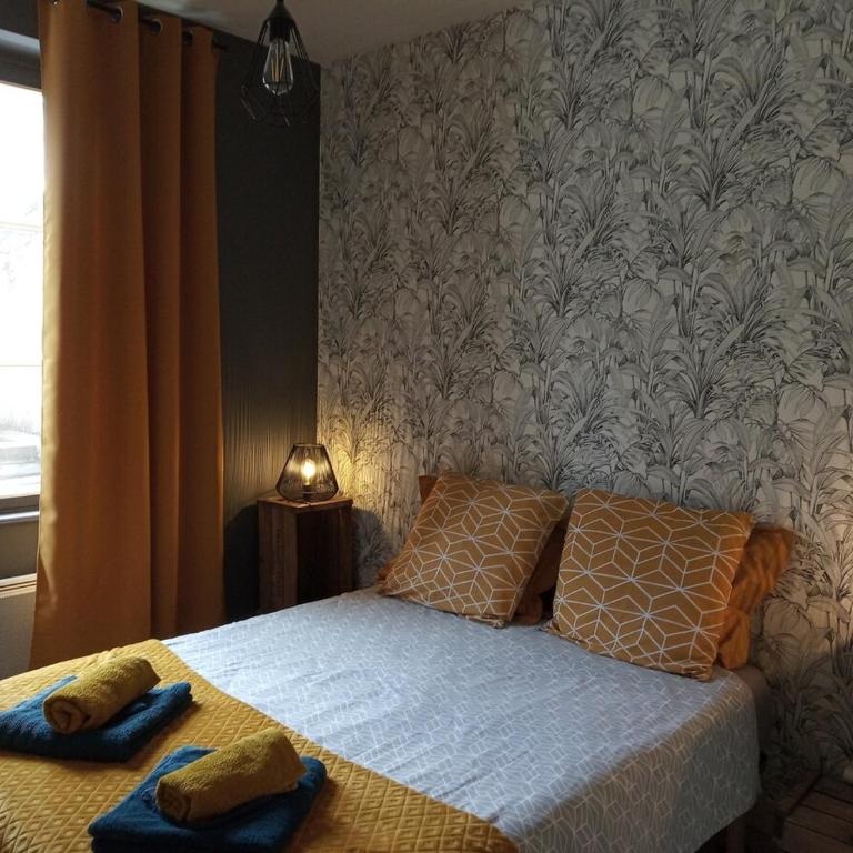 Grand Pied à Terre in Blois for 2 to 6 travellers - Appartement 2 Chambres - 15
