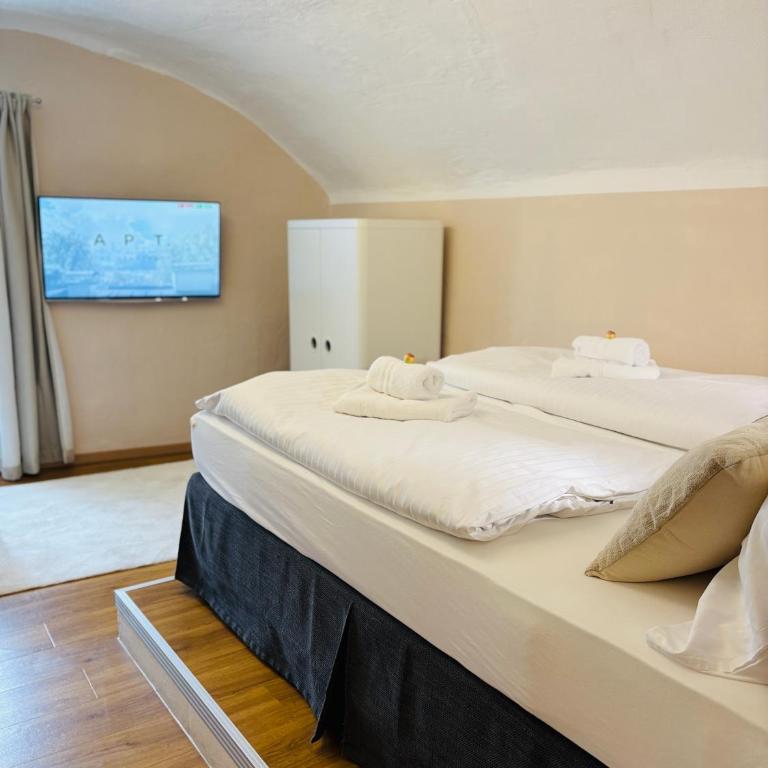 APT. STONE-LODGE - Monolocale Standard - 14