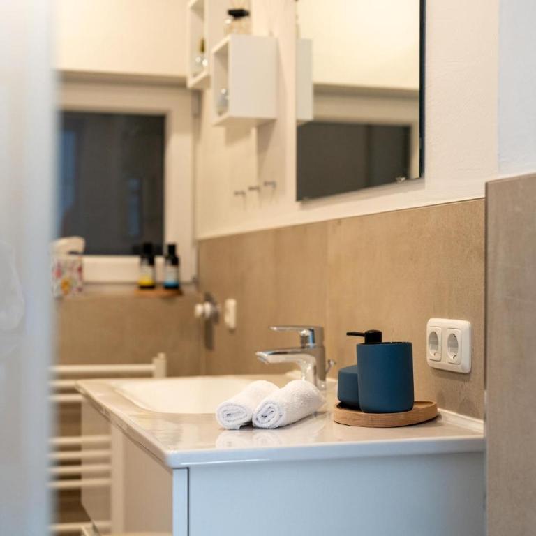 Dorfapartment Achensee - Apartment mit Dusche - 2