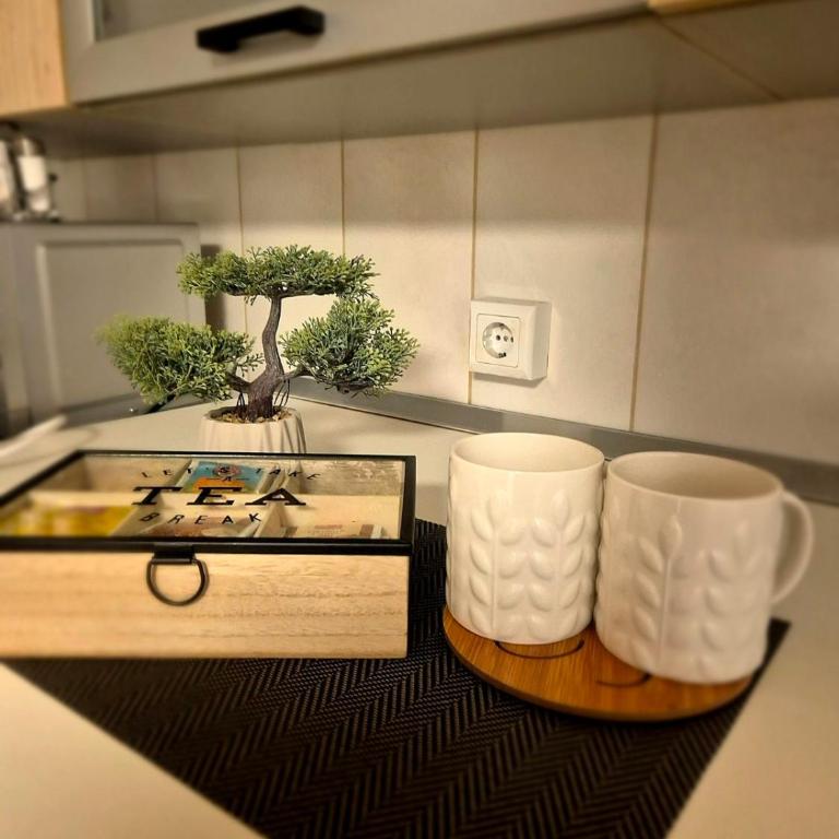 Twins House - Two-Bedroom Apartment - 48