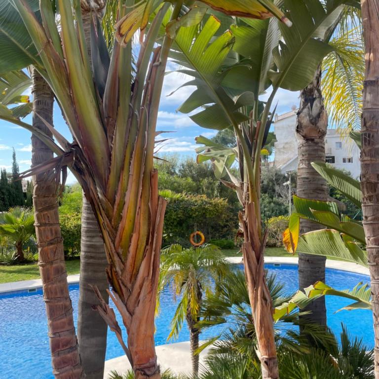 Apartmán Andalusie - Two-Bedroom Apartment with Sea View - 21