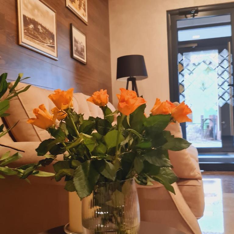 Apartman Ilic - One-Bedroom Apartment - 7