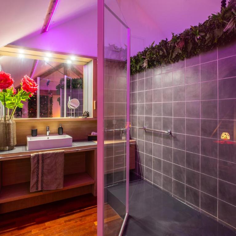Suite Romantique 45m2-Amiens Centre-SPA & Parking - Apartment mit 1 Schlafzimmer - 11