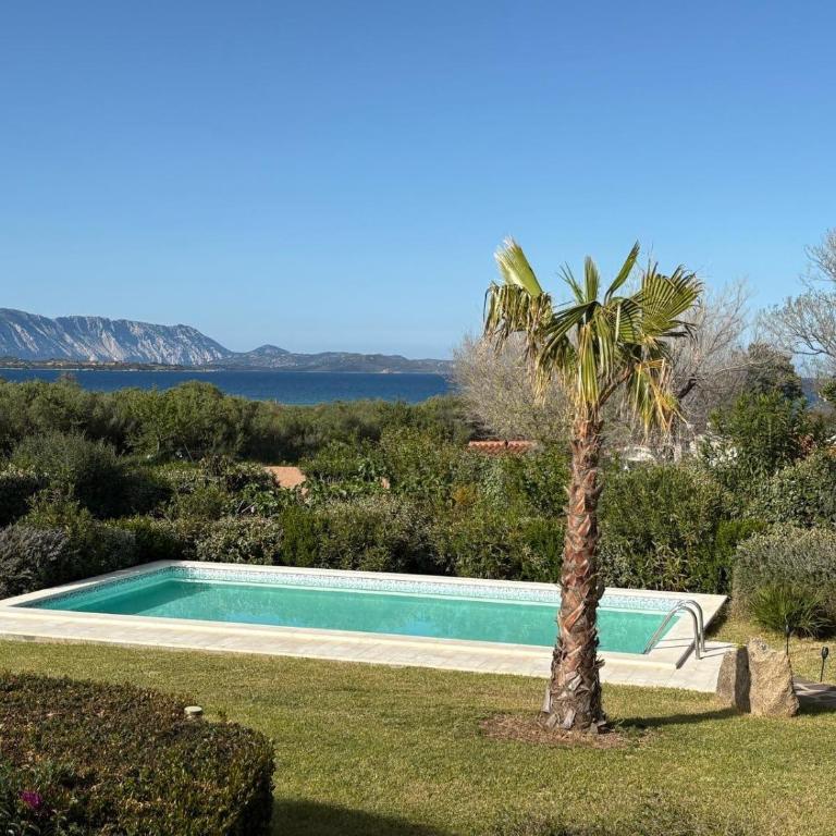 Villa with Pool, Garden and Sea View - Villa - 2
