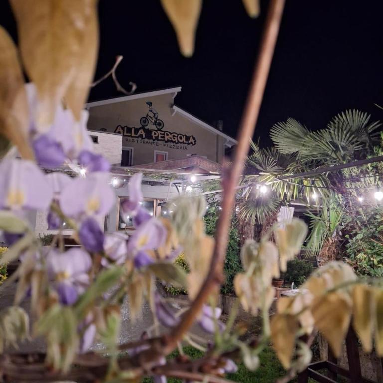 Alla Pergola - Appartamento con 1 Camera da Letto - 7