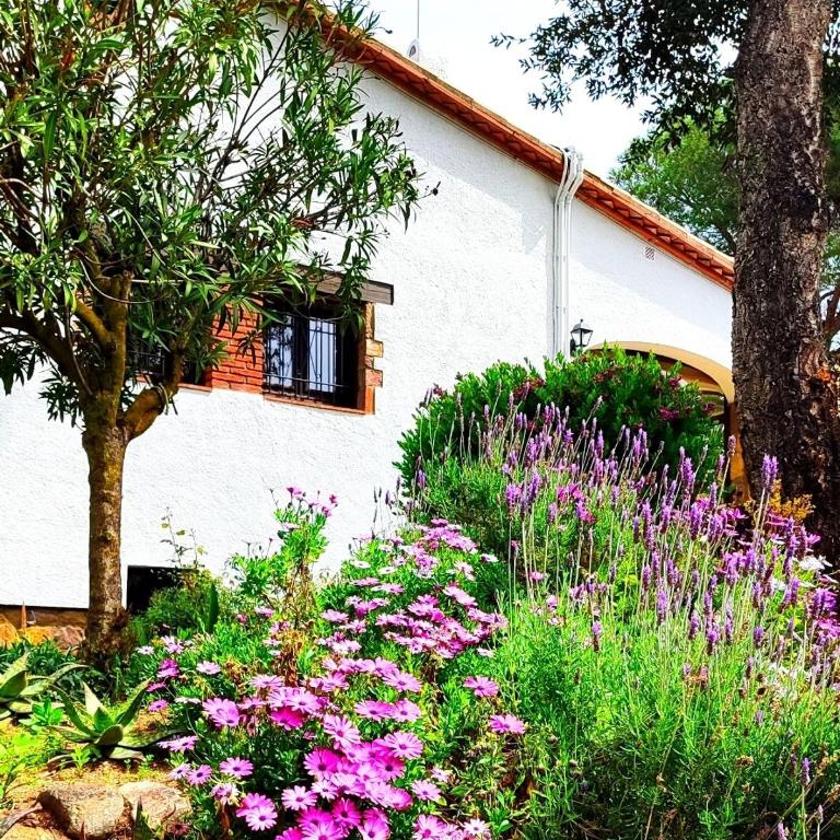 Villa Boheme Costa Brava - Villa de 3 dormitorios - 41