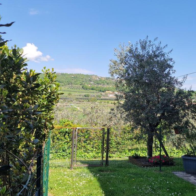 Appartamenti a Bardolino - Appartamento - Piano Terra - 16