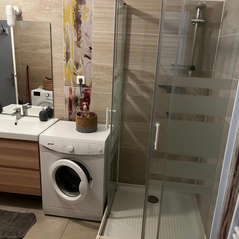 Joli appartement hypercentre T2, classé meublé de tourisme 3 avec parking gratuit - Appartement 1 Chambre - 2