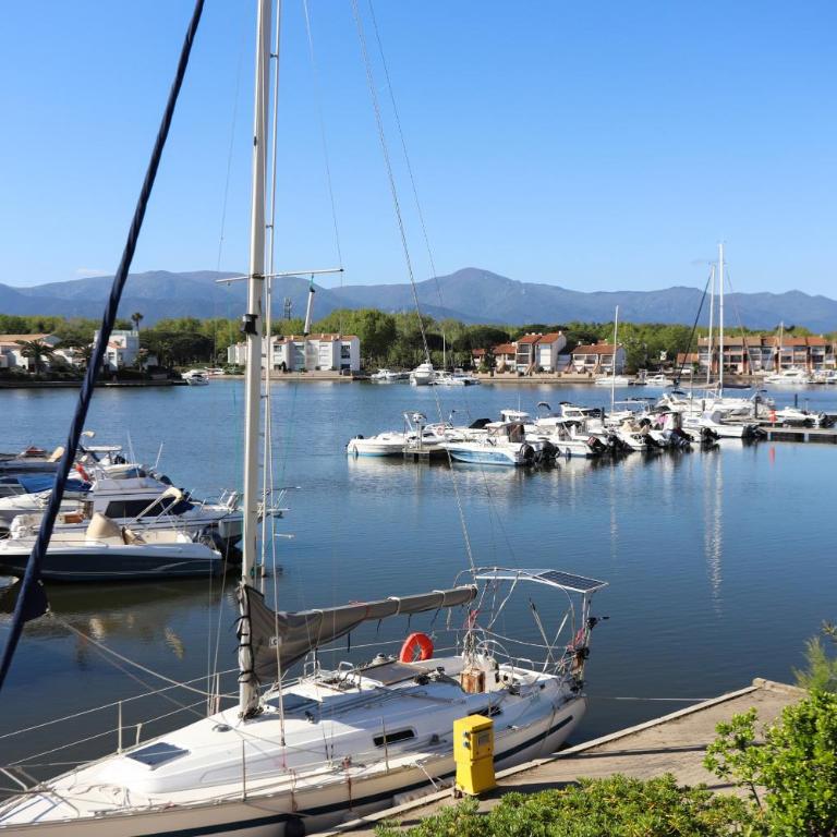 Spacieux Studio 3pers vue marina a St Cyprien - Studio - 2