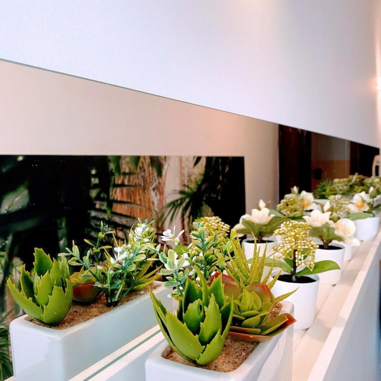 Happiness Green - Double Room - One-Bedroom Apartment - 11