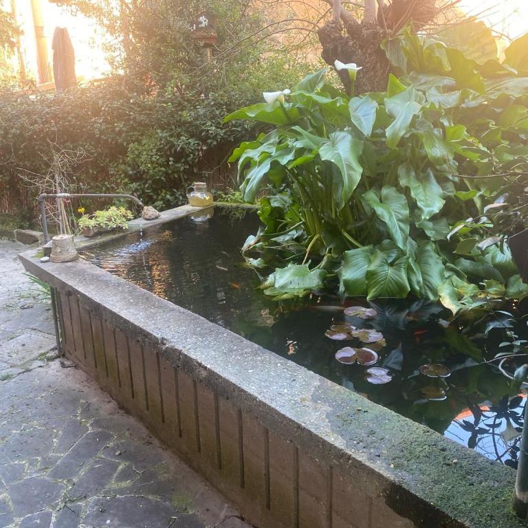 Villetta Garbata - Two-Bedroom Apartment - 10