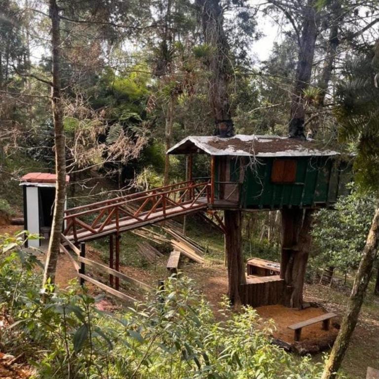 Casa en el Árbol - Apartamento de 1 dormitorio - 1