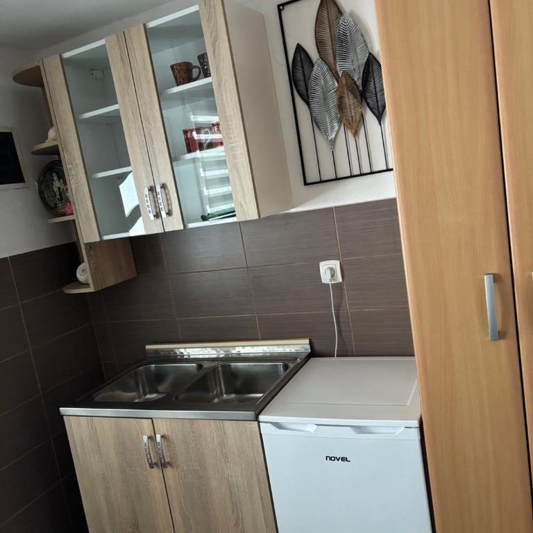 Apartmani Jovancevic - Apartman sa 1 Spavaćom Sobom - 9