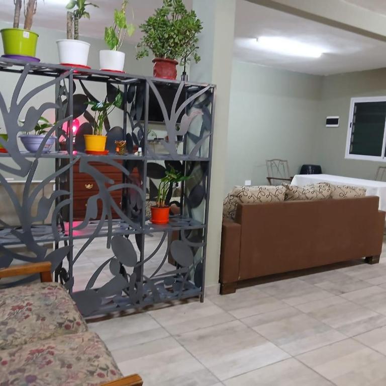 la morena - Apartamento de 1 dormitorio - 1