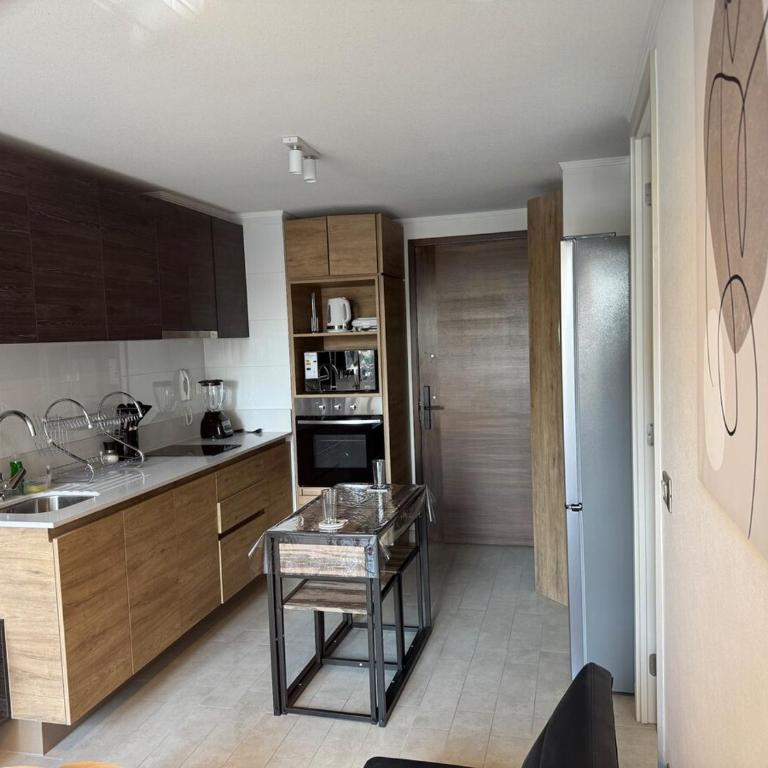 Apartamento cómodo y acogedor, Santiago centro, - Apartamento de 1 dormitorio - 3