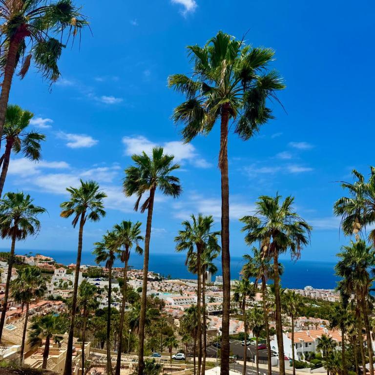 San Eugenio Charming Renovated Apartment Tenerife - One-Bedroom Apartment - 18