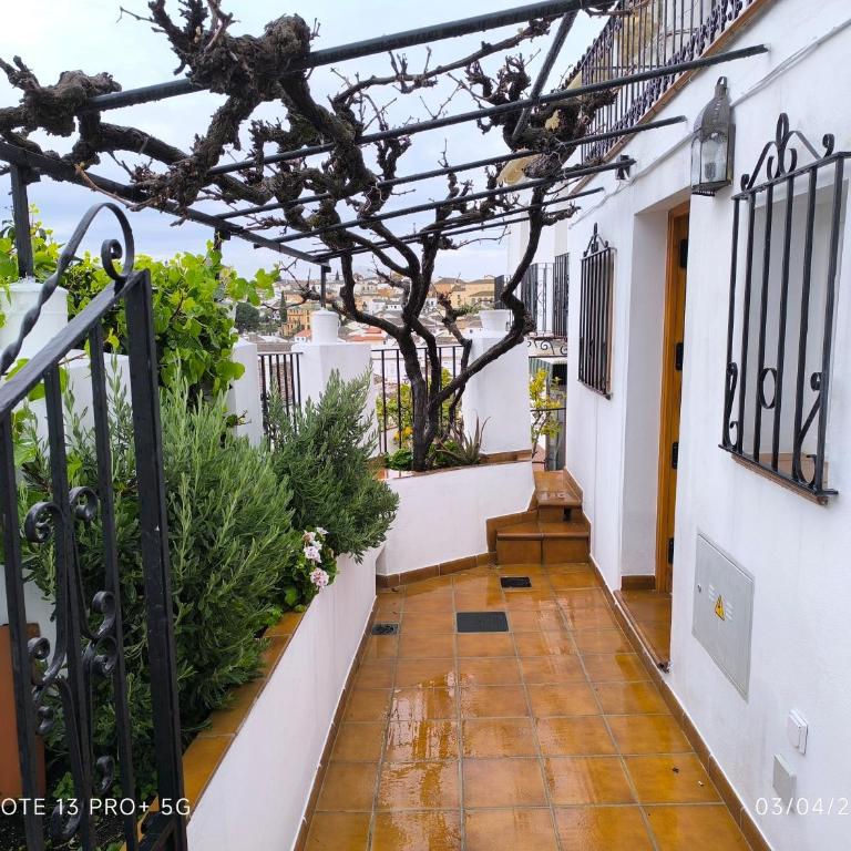 La Casita de la Parra - Casa de 2 dormitorios - 11