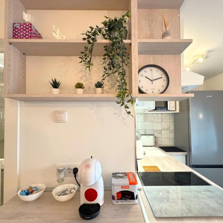 Maria Belgrade Center - One-Bedroom Apartment - 6