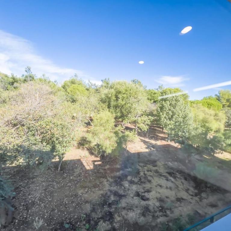 Pent-House on the Golden Mile - Apartamento de 1 dormitorio - 32