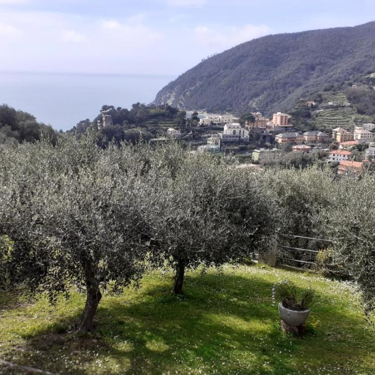 Casa Diana - Appartamento con 1 Camera da Letto - 15
