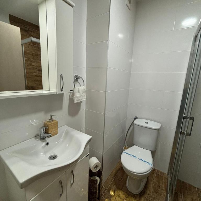 Apartman Vanila Lux Kragujevac - One-Bedroom Apartment - 22