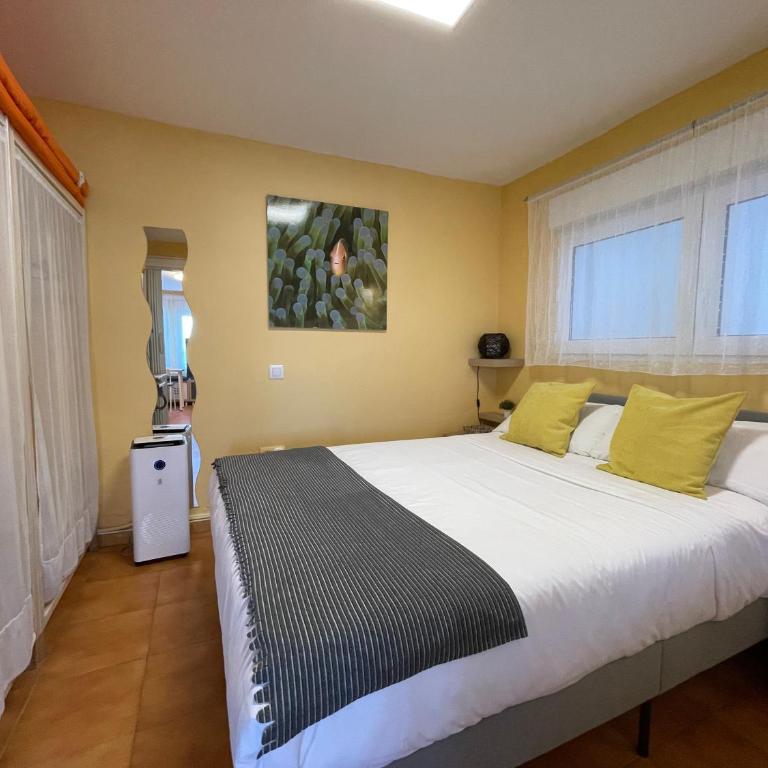 Apartamento Paraiso Estaño - Apartamento - 11