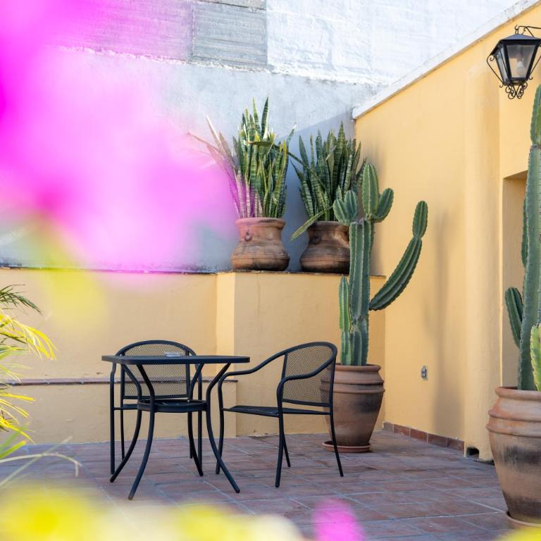 Casa Araiza - Double Room with Terrace - 2