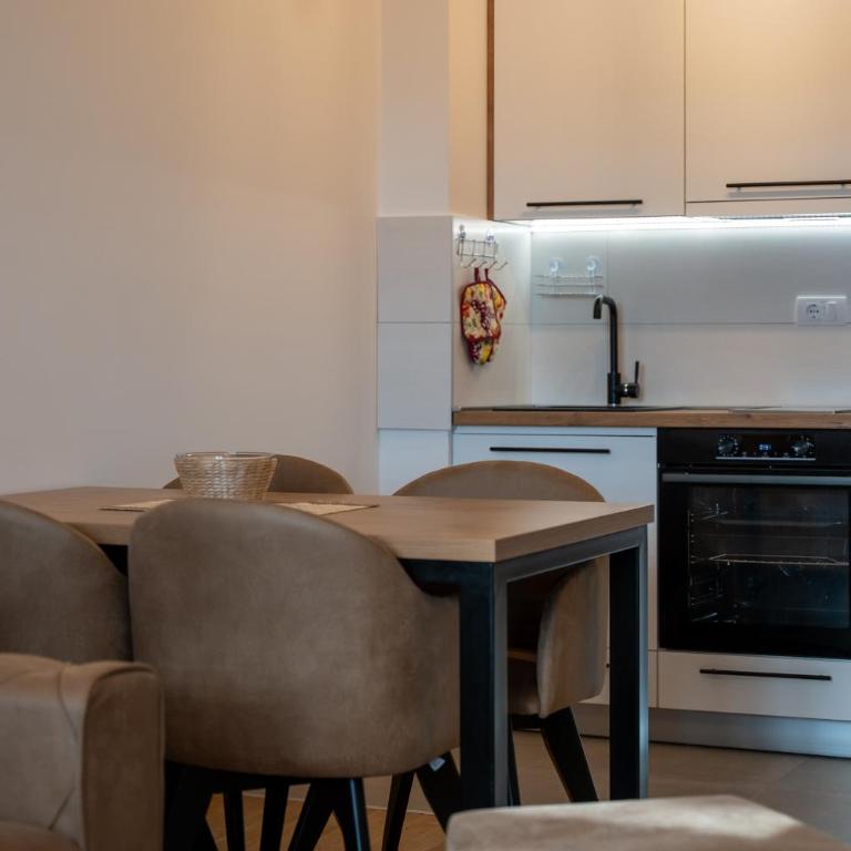 Vila Zlatibor SPA & Wellness - Urban One-Bedroom Apartment - 15
