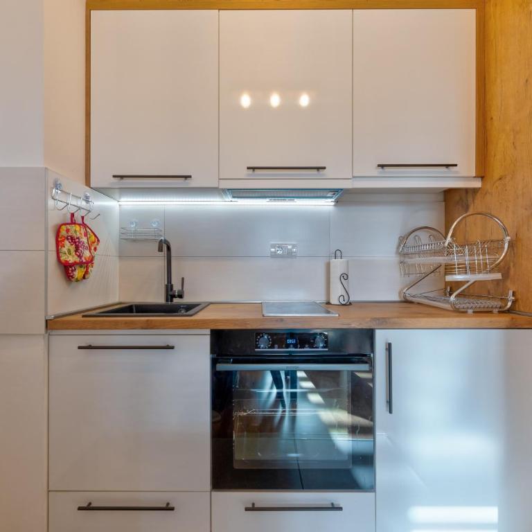 Vila Zlatibor SPA & Wellness - Urban One-Bedroom Apartment - 17