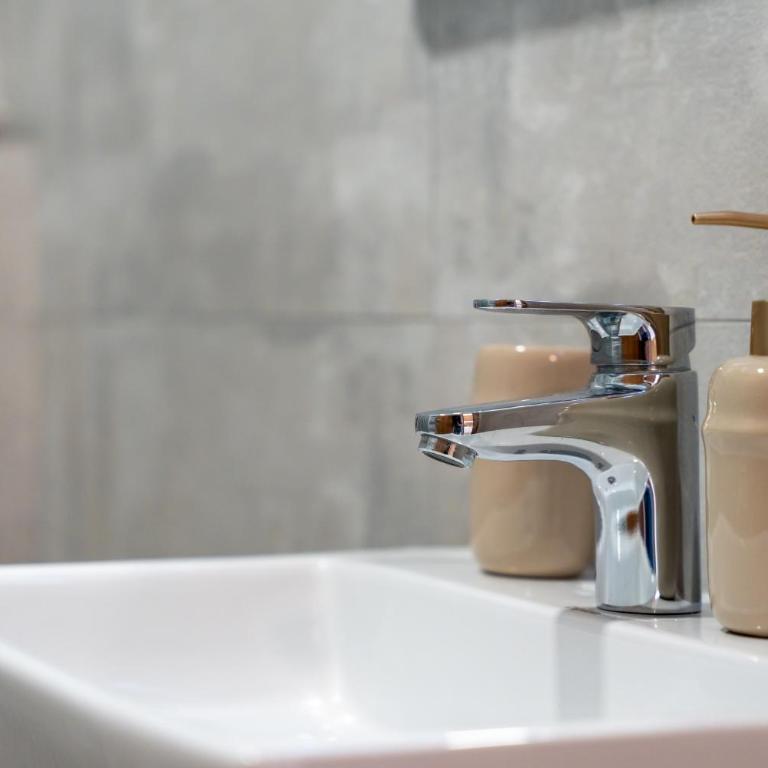 Vila Zlatibor SPA & Wellness - Cozy One-Bedroom Apartment - 10