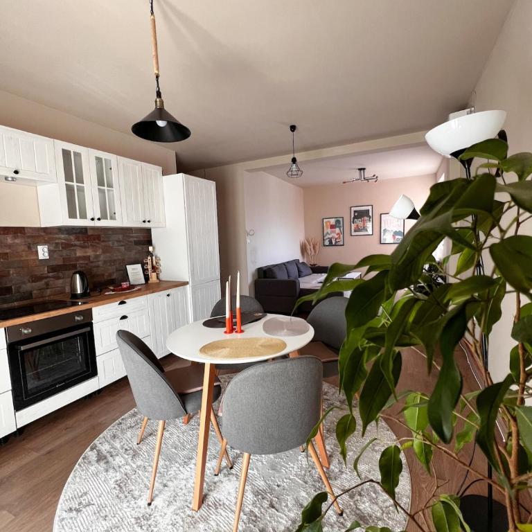 Madera Apartment - One-Bedroom Apartment - 12