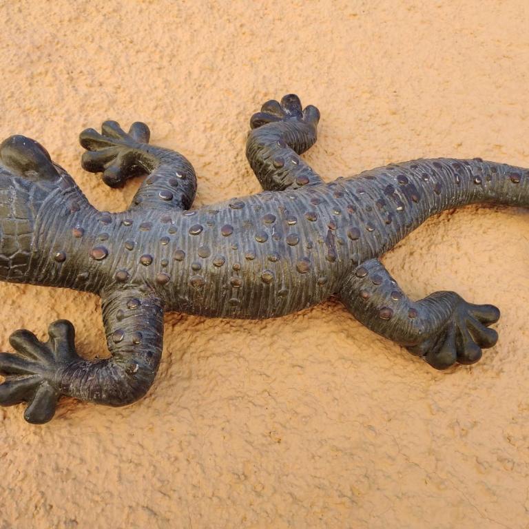 EL Gecko - Casa de 2 dormitorios - 5