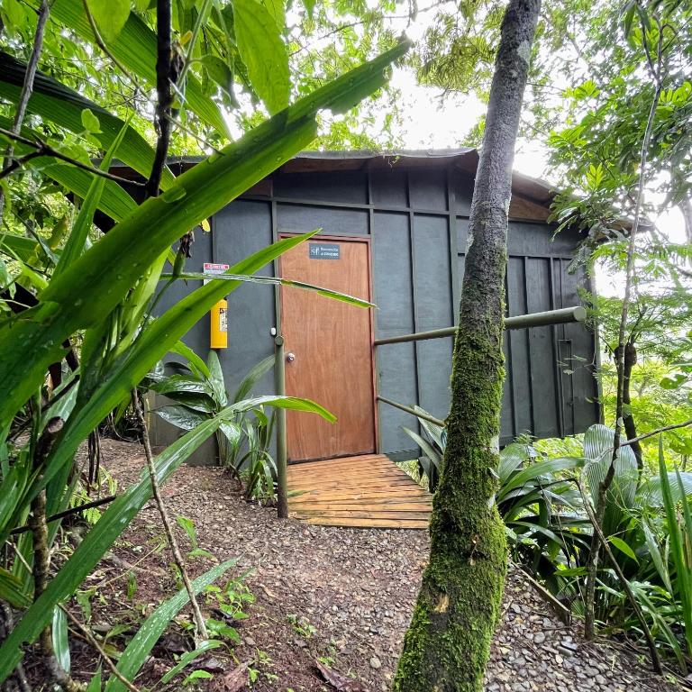 ANCESTRAL GLAMPING - Habitación Doble Deluxe - 6