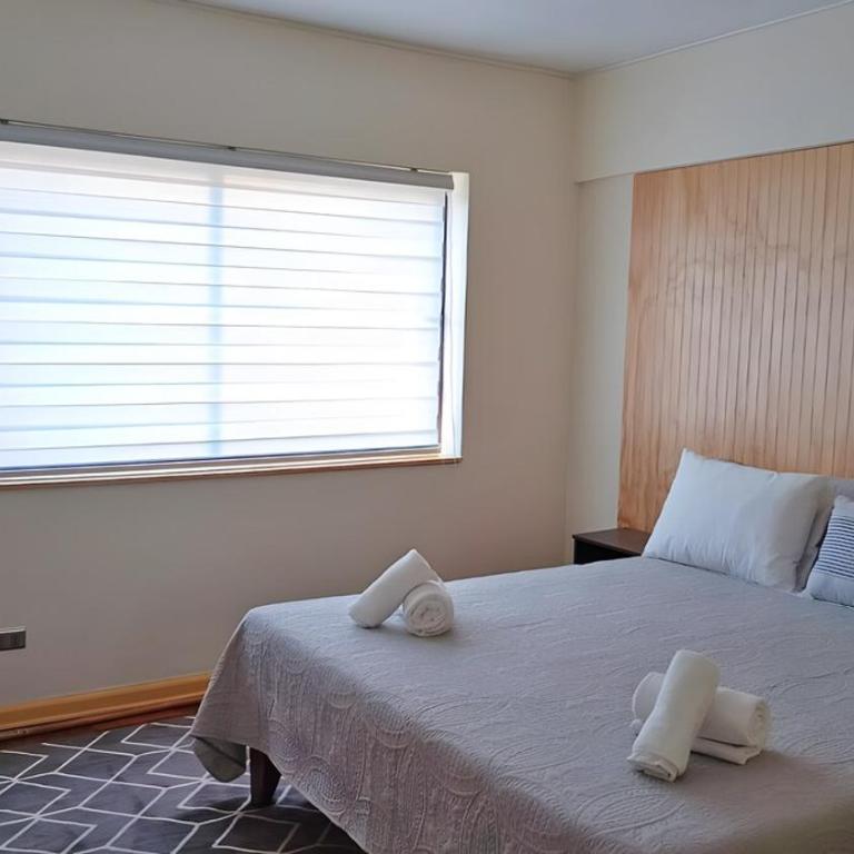 Espléndido departamento centro Temuco - Apartamento de 2 dormitorios - 1
