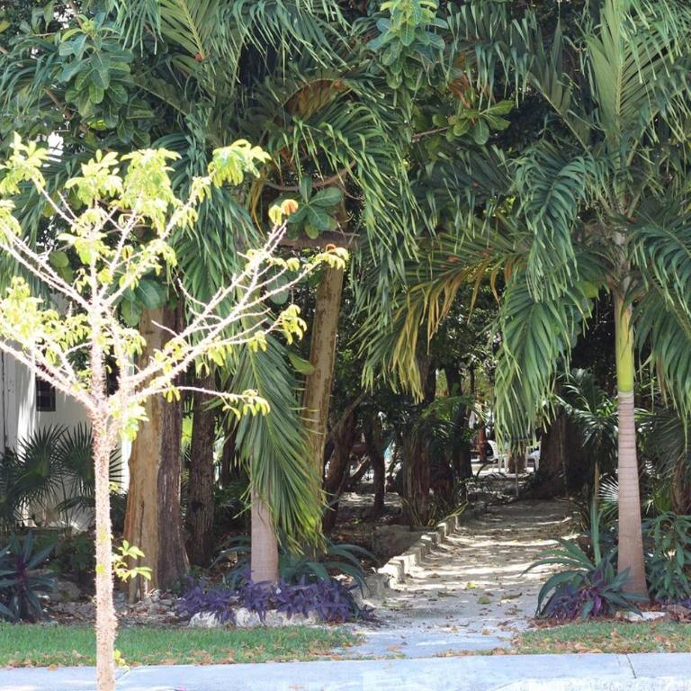 RESIDENCIAL ALBORADA Aura de SELVA - Two-Bedroom Apartment - 39