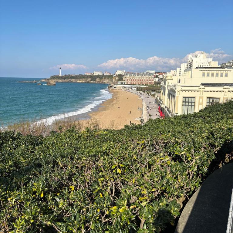 Studio et piscine sur la grande plage - Appartamento con 1 Camera da Letto - 15