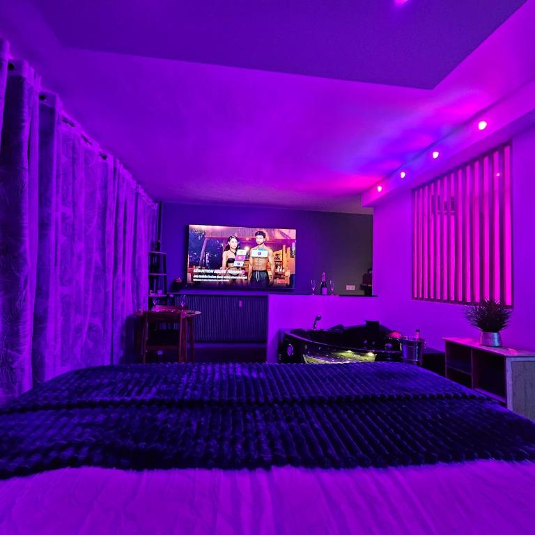 Loveroom & Jacuzzi TIJUGO - Clermont Ferrand - Appartement 1 Chambre - 5
