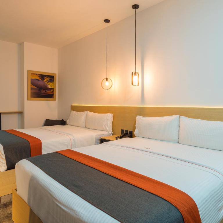 Hangar Select Aeropuerto Guadalajara - Superior Twin Room - 7