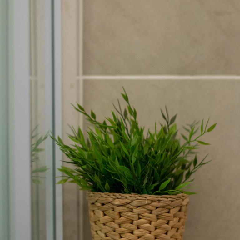 Sweet Home Dijon Nodot - Appartement avec Terrasse - Nodot - 55