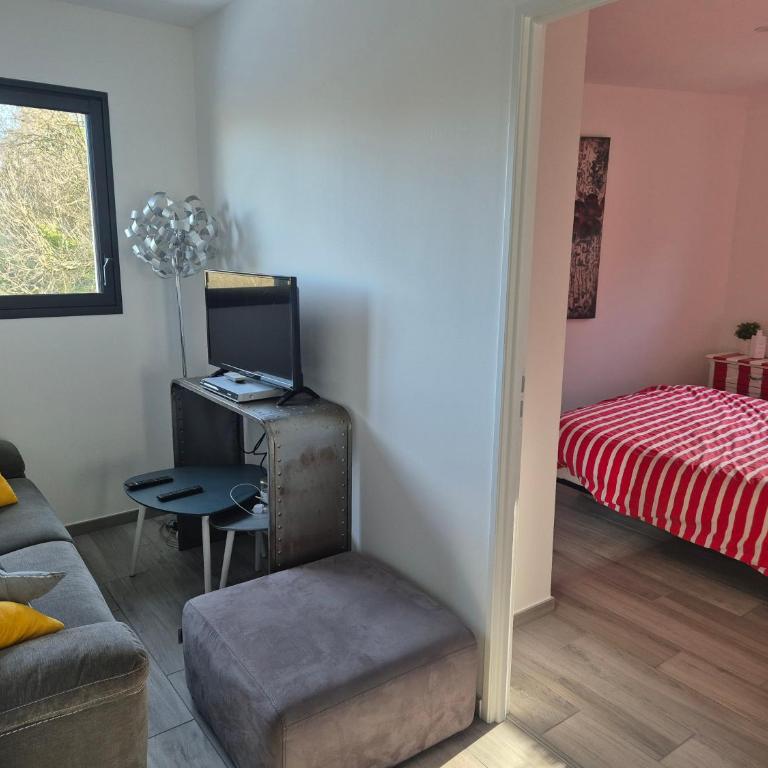 Appartement 1 chambre et terrasse - Studio - 7