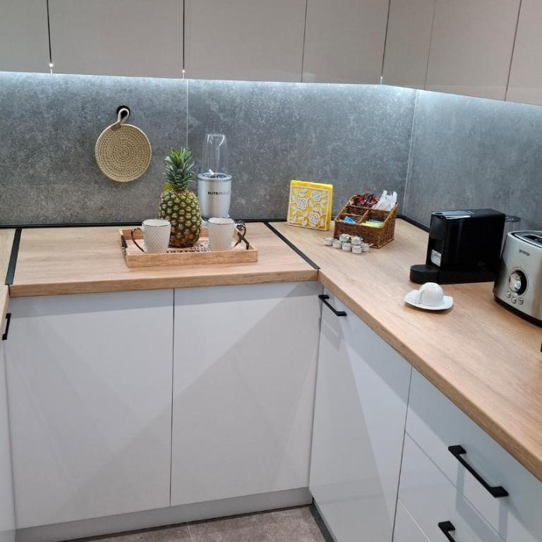 LUX Casa di Stefan - Two-Bedroom Apartment with Balcony and Terrace - 45
