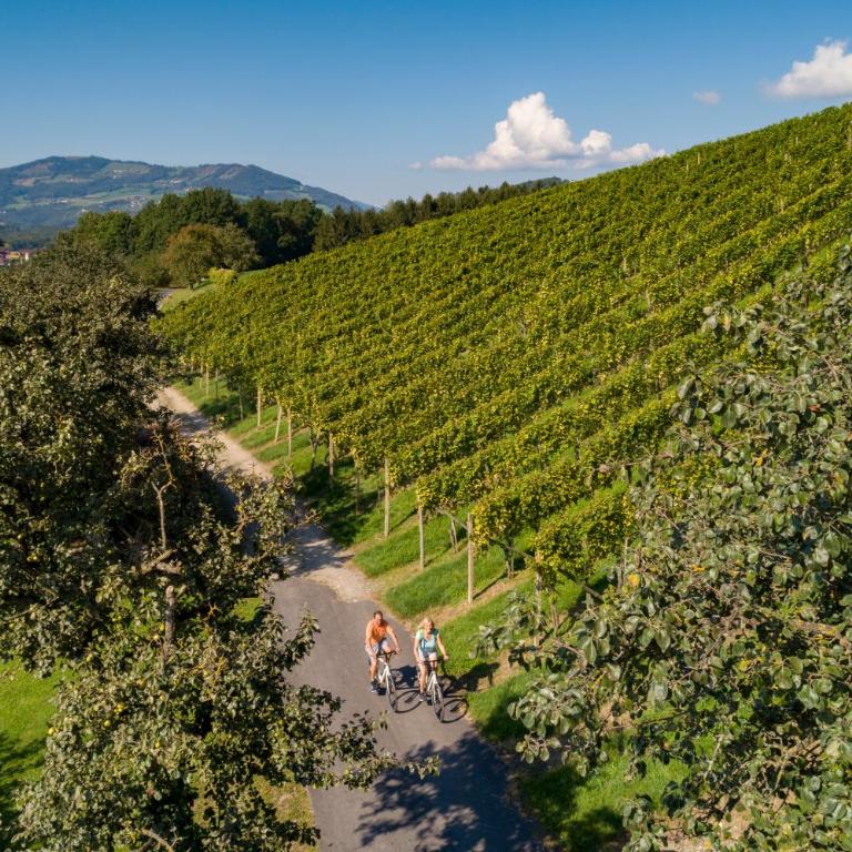 Ferienwohnung in ruhiger Lage- Panorama Terrasse, 2 SZ, rollstuhlfreundlich - Apartment mit Blick auf die Berge - 30