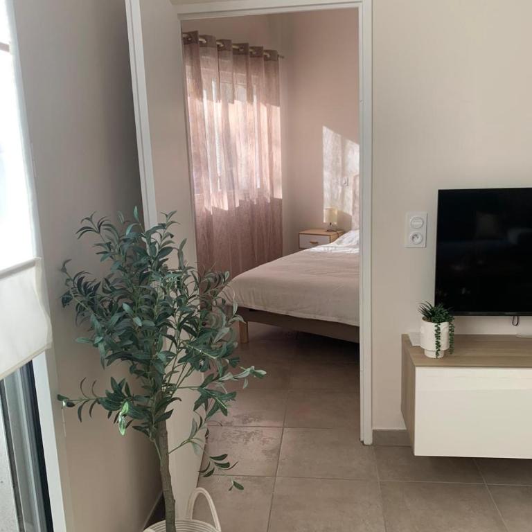 Nice virgil Barel - Apartment mit 1 Schlafzimmer - 7